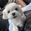 써브웨이광주신용점