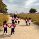 코스모스 어린이집 이미지