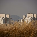 충주개발