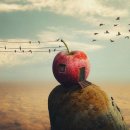 裏面 (이면) 이미지