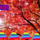 딩동댕발전소 이미지