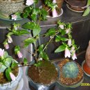 김천보건소 이미지