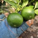 열이농장 이미지