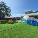 포포퍼피 이미지