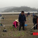 영오2농장 이미지