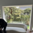 예쁜메이크업 정원 | 줄리의정원 청담 스튜디오 웨딩 촬영 아름보다 헤어변형 후기 | 준비물 시간 소품 야간씬
