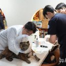 안동동물의료센터 이미지