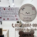 지오애견미용샵 이미지