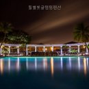별빛펜션 네이버블로그