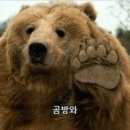 케꾸 이미지