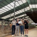 승재목장 이미지