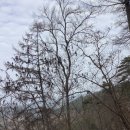 황호농장 이미지