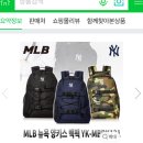 칼하트 킥플립 백팩, mlb백팩, 나이키 rpm백팩 이미지