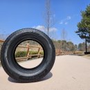 스테이블 타이어 이미지