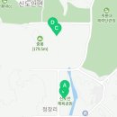 신도안면 야구장 이미지