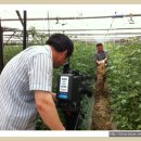 승구농장 이미지