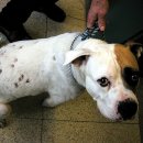 광제약국 이미지