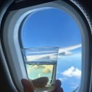 진주성이프(IF)호텔 | 대한항공 국제선 기내 영화 추천, 오스카 수상작 Flow와 검은 고양이의 여정