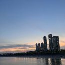 (유)레드이커머스 | 한국 온라인 쇼핑 사업의 히스토리 4부