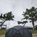 영덕 동해바다뷰 오토캠핑장 경상북도교육청 영덕오토캠핑장