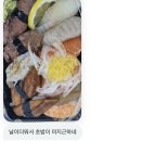 멍구멍구 | 멍구가 사랑할 때