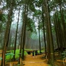 문학경기장1번출구 이미지