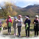 청춘목장 이미지