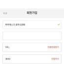 마이데스크공주