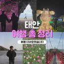 [2025 태안 방문의 해] 안면도부터 만리포까지, 태안 여행 총정리 꿀팁 대방출✨