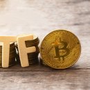 비트·이더 외에 알트코인 ETF 등장할 것–코빗 리서치(ft. ETC LTC BCH XRP SOL LINK) 이미지