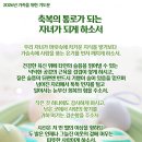축복의통로