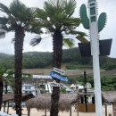 (주)아빌라 더 오아시스 이미지