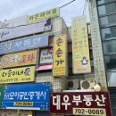 손손가 네이버블로그