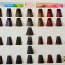 기라성 미용재료 이미지