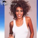 Whitney Houston - Didn't We Almost Have It All 이미지