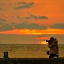 낭만느림보 이미지