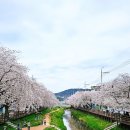 ♡ 餘生지樂(여생지락) 이미지