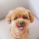 옷이목욕하는날 이미지