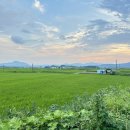 군동라천민박 이미지