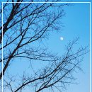 월드파크장 이미지