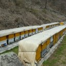 계상농장 이미지