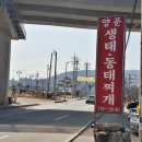 제일생태동태찌게