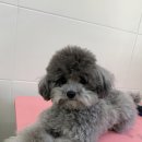 러브몽먼트 이미지