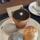 서이천로320번길 | [이천] 이천 카페 &#39;아누반&#39; 방문 후기, 애견동반/주차 편한 카페 추천