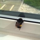 (주)우루루 이미지