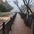 양진초등학교 이미지