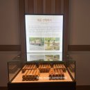 귀면 | [은평역사한옥박물관 강의] 북한산의 작은 이웃, 새와 만나요. 1월 탐조 수업 후기