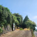 금악리 마을회관 | [제주오름 산책 후기] 어도오름