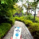 좋은우유유통 | 매일우유 미니 125ml 후기, 라떼 만들기 좋은 소용량 우유 추천
