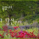 내야지천 네이버블로그